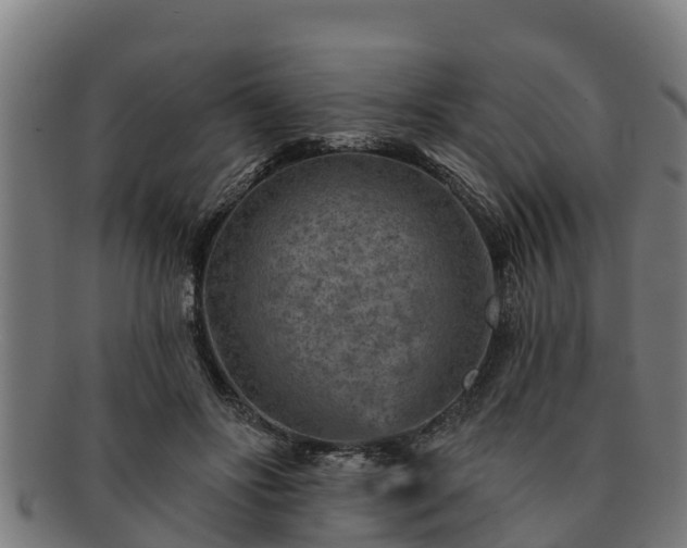 X0000091720502200708311142