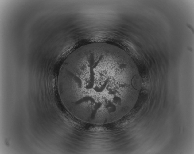 X0000091720503200708311142