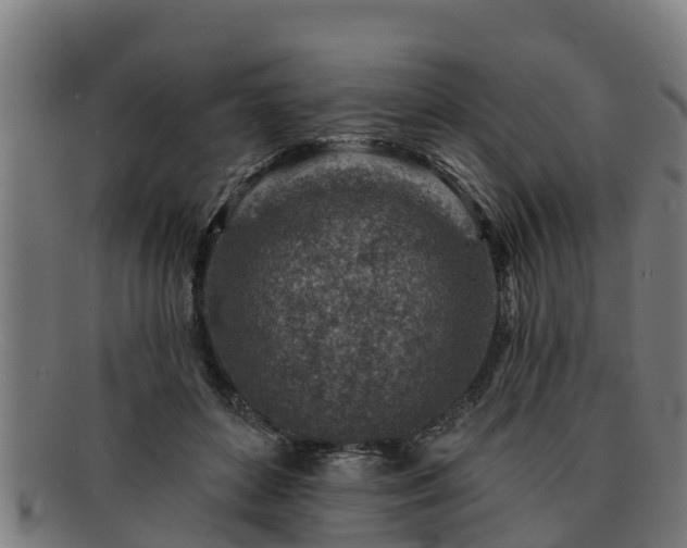 X0000091720504200708311142