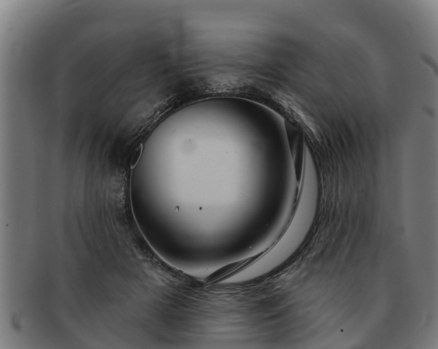 X0000091720505200708311142