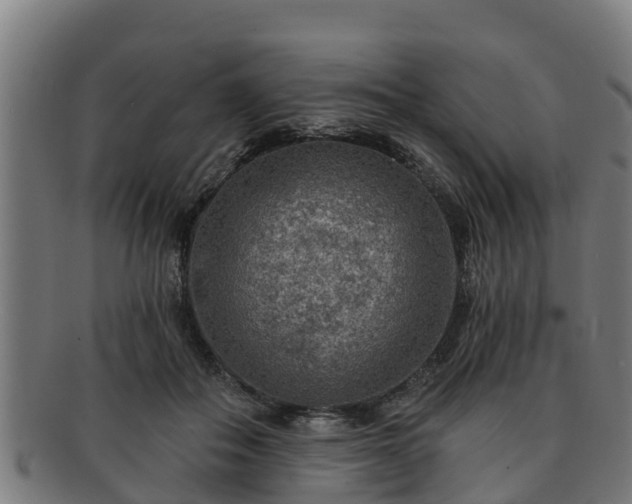 X0000091720506200708311142