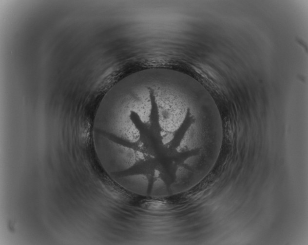 X0000091720507200708311142