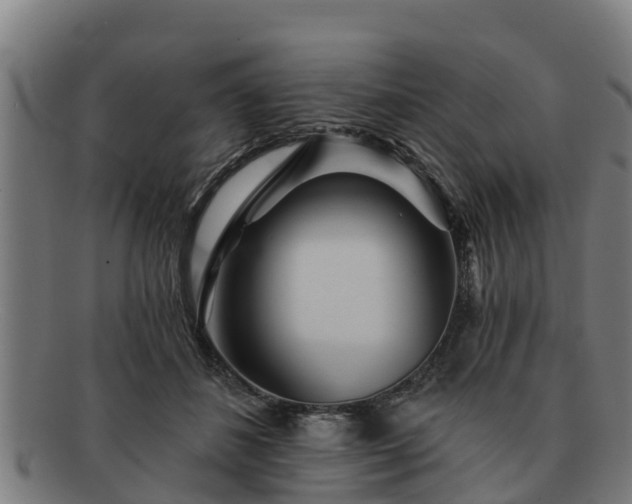 X0000091720508200708311142