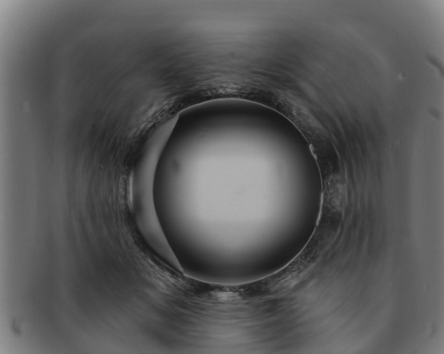 X0000091720509200708311142