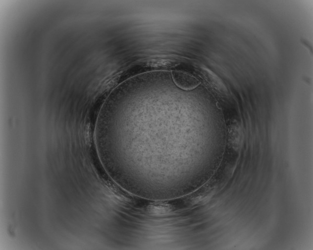 X0000091720510200708311142