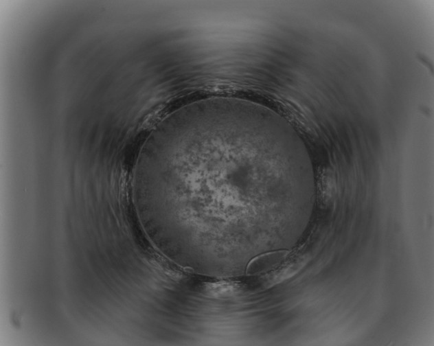 X0000091720511200708311142