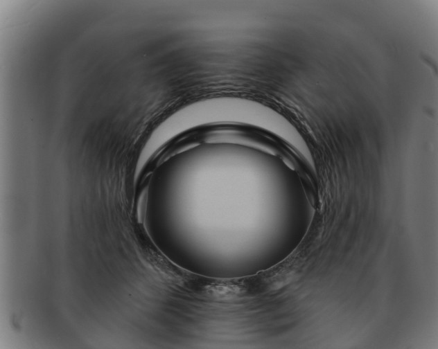 X0000091720512200708311142