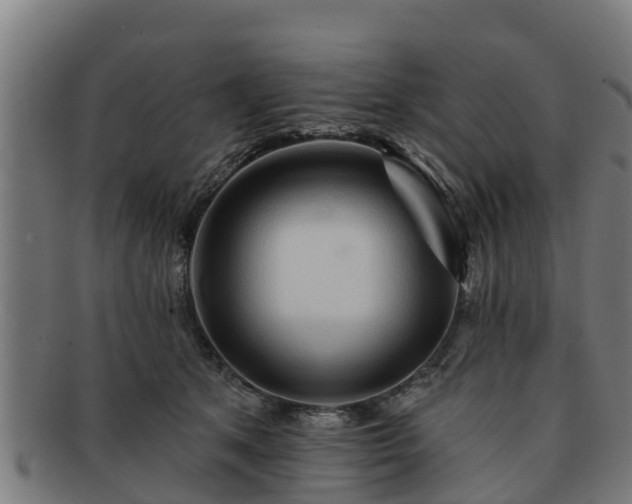 X0000091720513200708311141