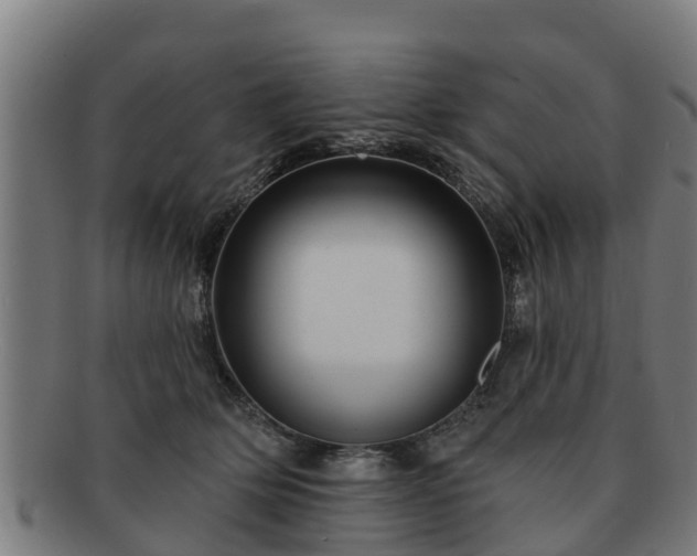 X0000091720514200708311141