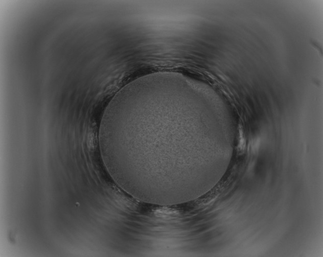 X0000091720515200708311141