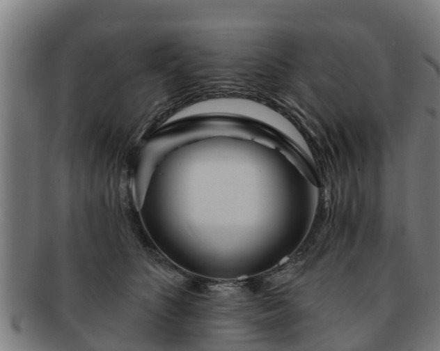 X0000091720516200708311141