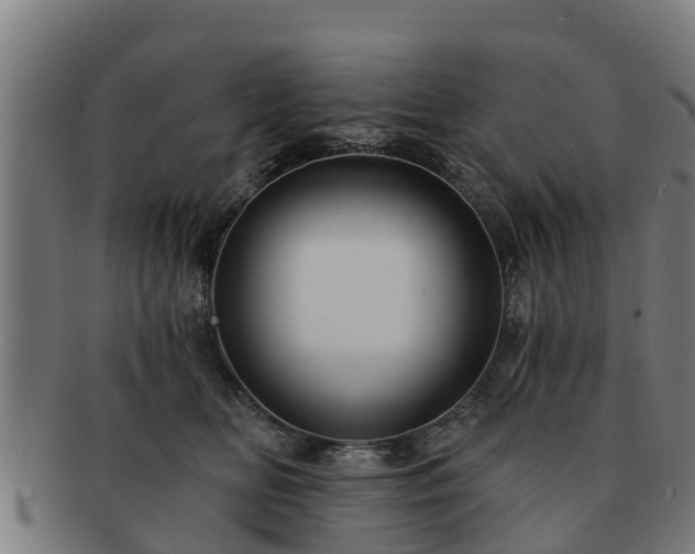 X0000091720518200708311141