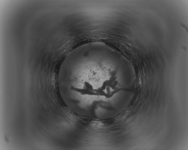 X0000091720519200708311141