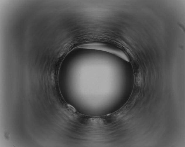 X0000091720520200708311141