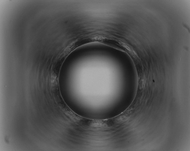 X0000091720521200708311141