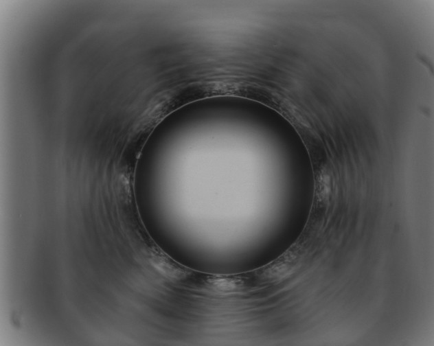 X0000091720522200708311141