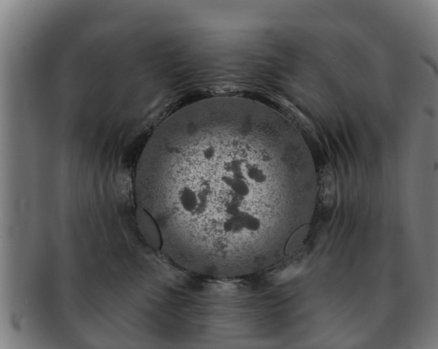 X0000091720523200708311141