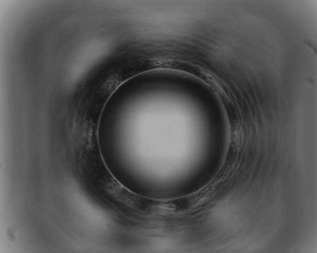 X0000091720525200708311141