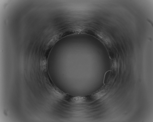 X0000091720526200708311141