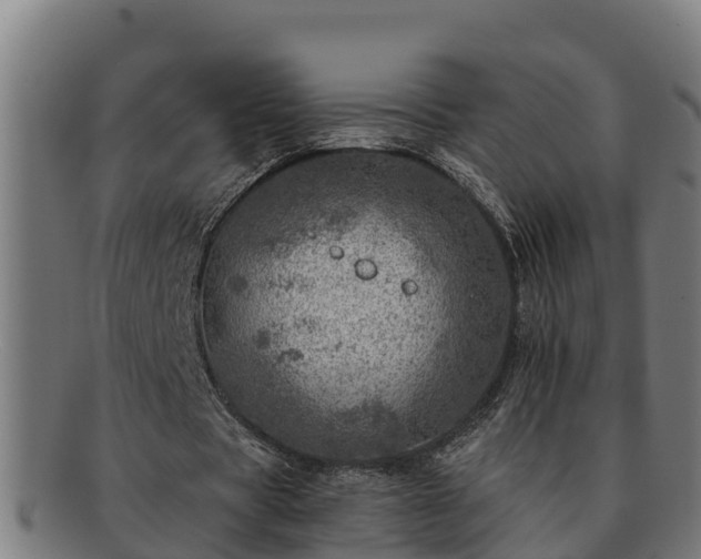 X0000091720529200708311140