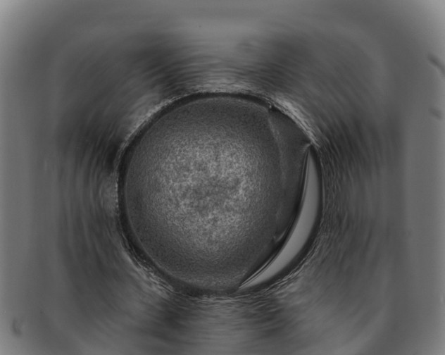 X0000091720531200708311140