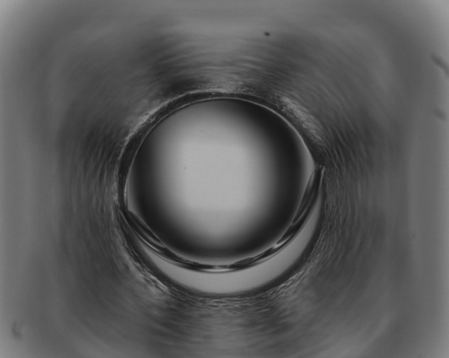 X0000091720532200708311141