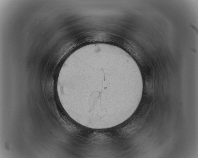 X0000091720534200708311141