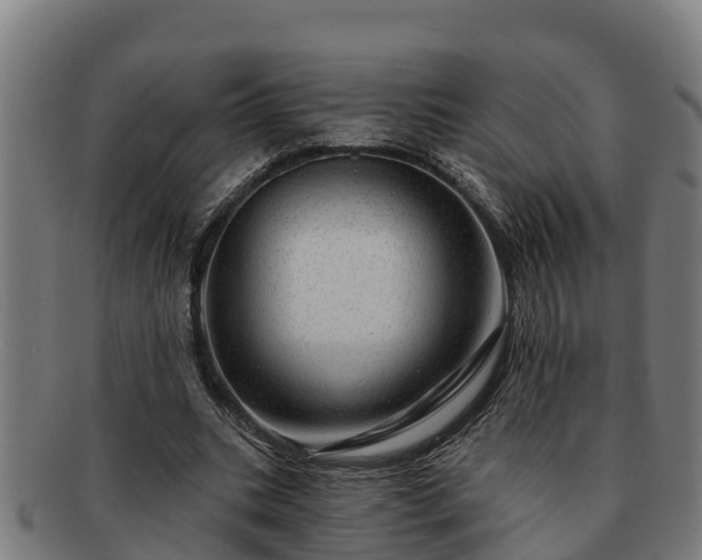 X0000091720535200708311141