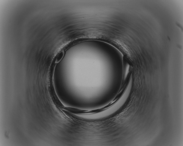 X0000091720536200708311141