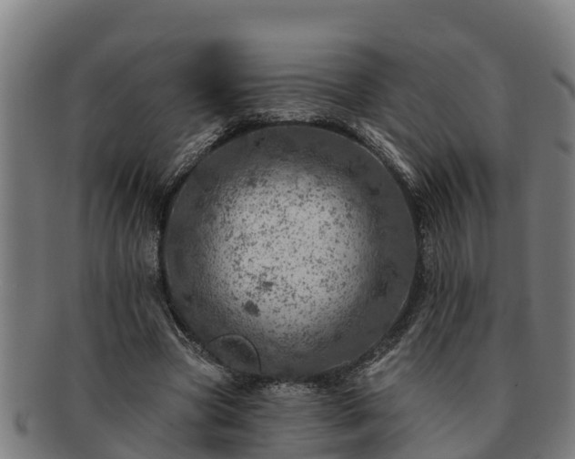 X0000091720537200708311141