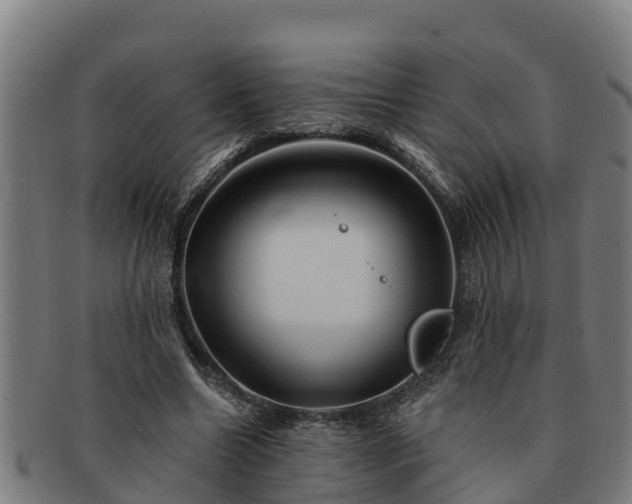 X0000091720538200708311141