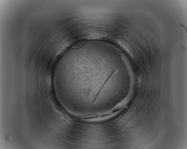 X0000091720539200708311141