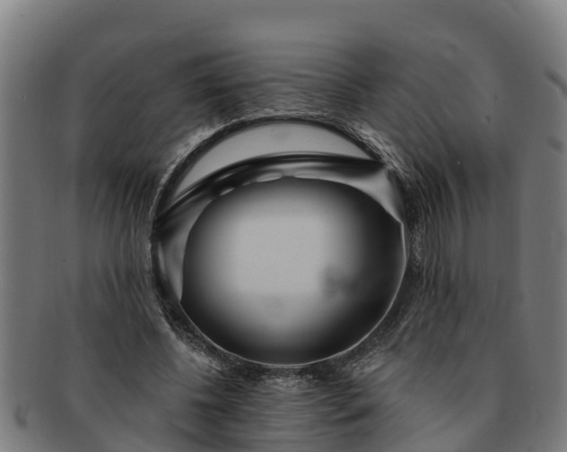 X0000091720540200708311141