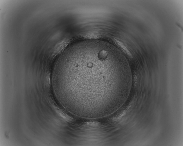 X0000091720541200708311141