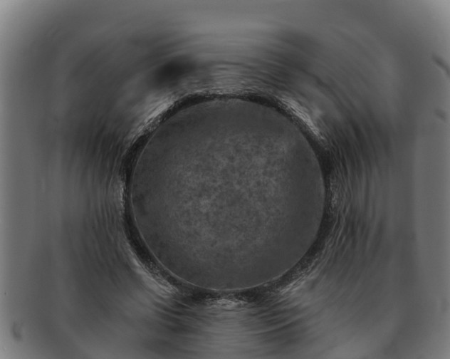 X0000091720542200708311141