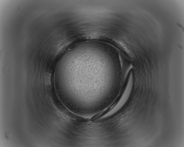 X0000091720543200708311141