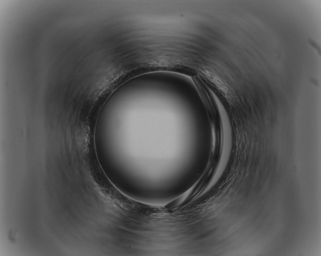 X0000091720544200708311141