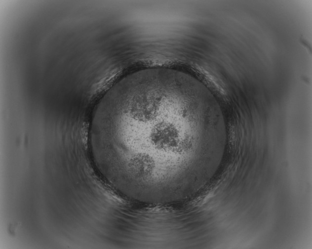 X0000091720545200708311141