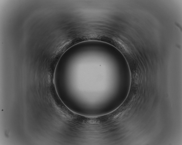 X0000091720546200708311141