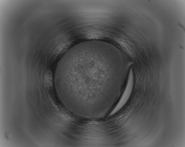 X0000091720547200708311141