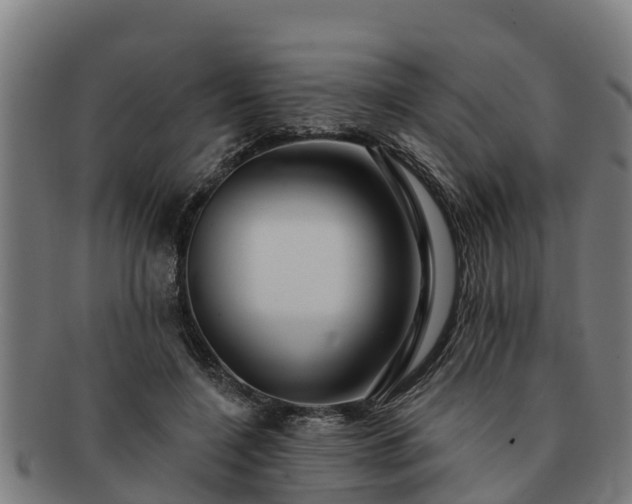 X0000091720548200708311141