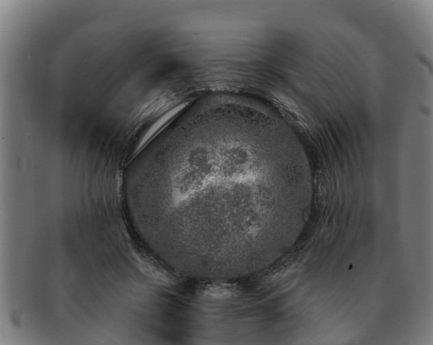 X0000091720550200708311141