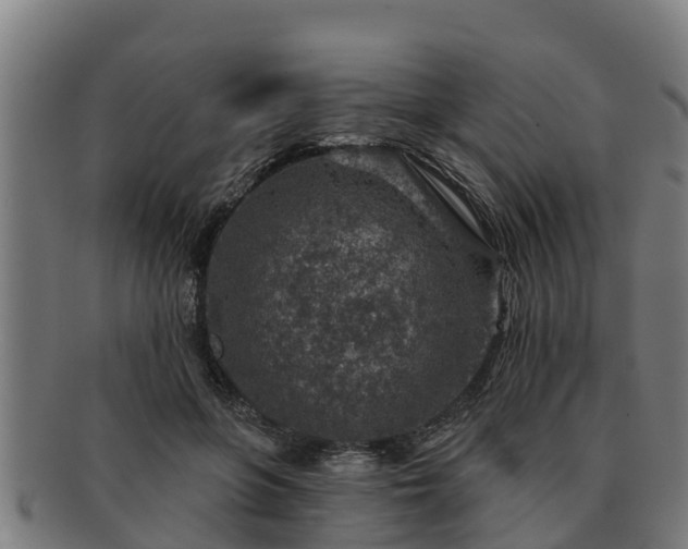 X0000091720551200708311141