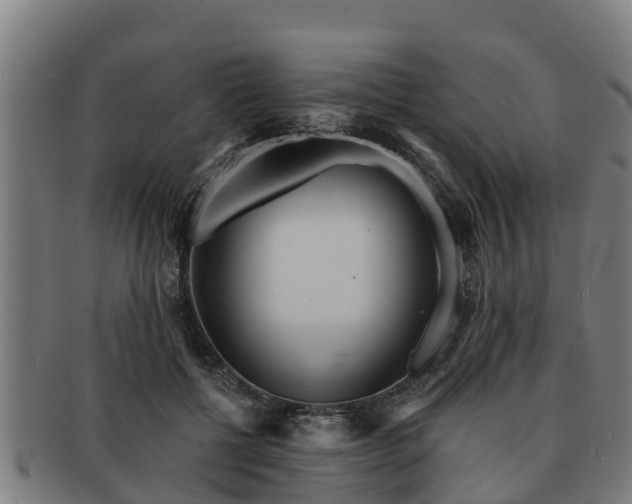 X0000091720552200708311141