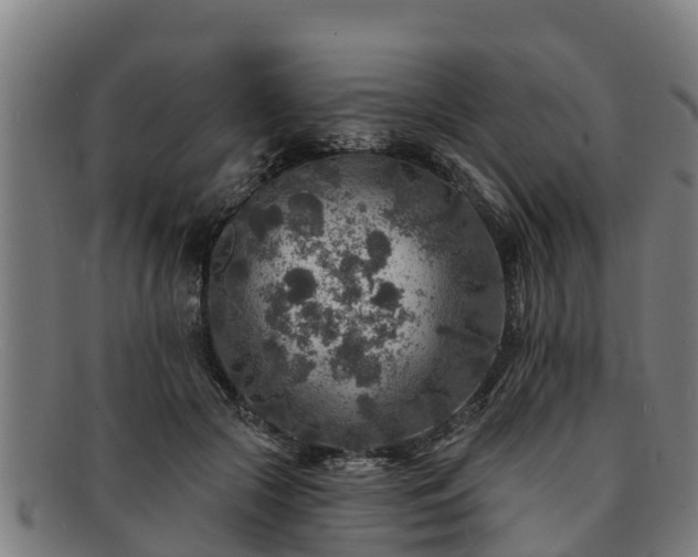 X0000091720553200708311141