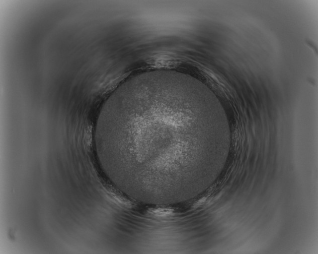 X0000091720554200708311141