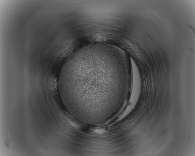 X0000091720555200708311141