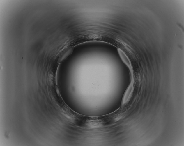 X0000091720556200708311141