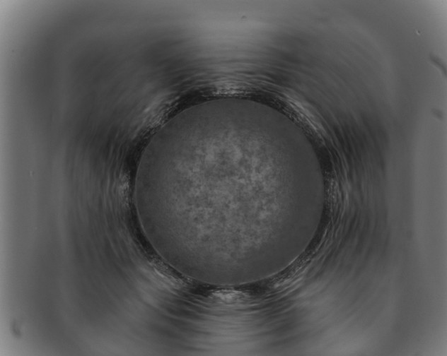 X0000091720557200708311141