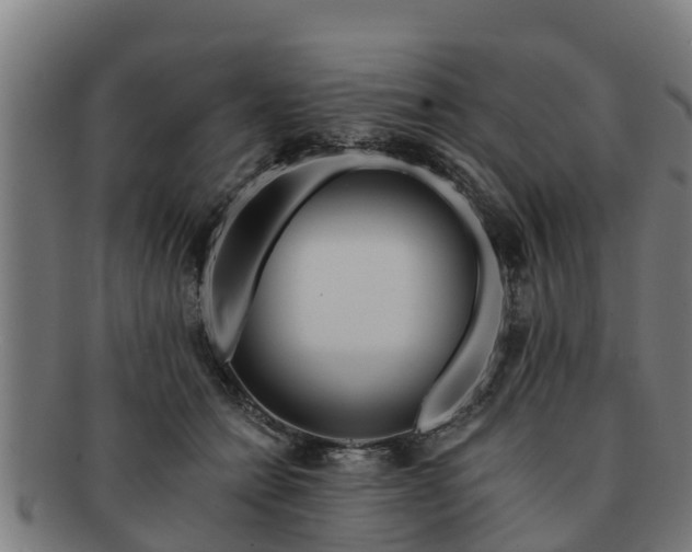 X0000091720558200708311141